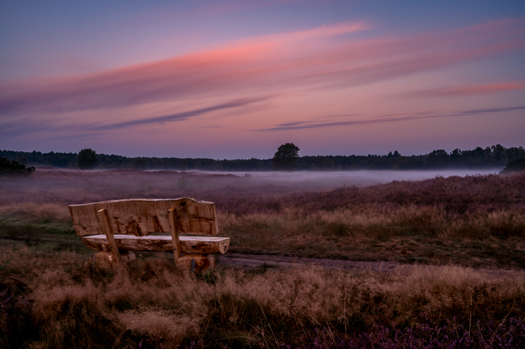 landschaft