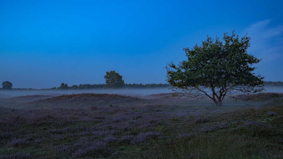 landschaft